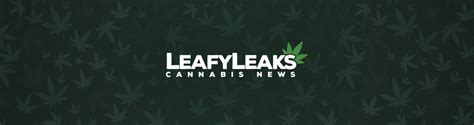 leafyleaks|LeafyLeaks